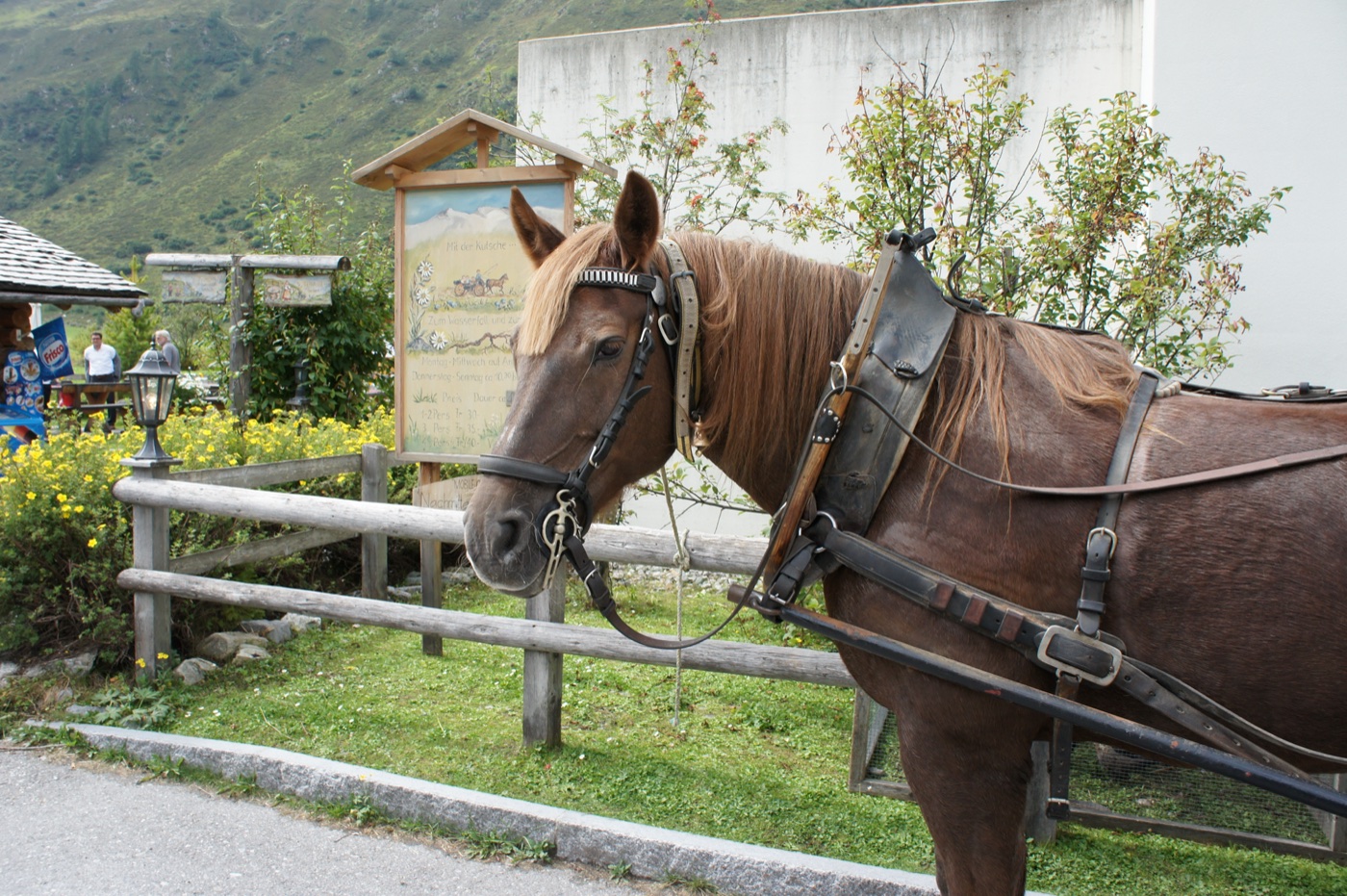ホテルの前には、観光用の馬車をひく馬が一頭つながれていた。看板には、馬車で近くの滝まで行くコースの案内。大きな体に、とても人懐っこい目をして
